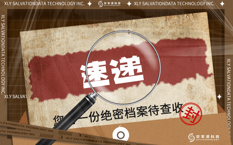 效率源視頻偵查單兵國際化應用再添新利器！全面支持德國Dallmeier監(jiān)控取證恢復